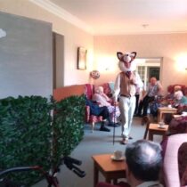 Evendine Activities