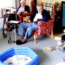 Evendine Activities