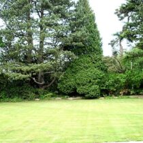 Evendine Grounds
