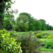 Evendine Grounds