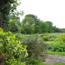 Evendine Grounds