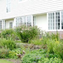 Evendine Grounds